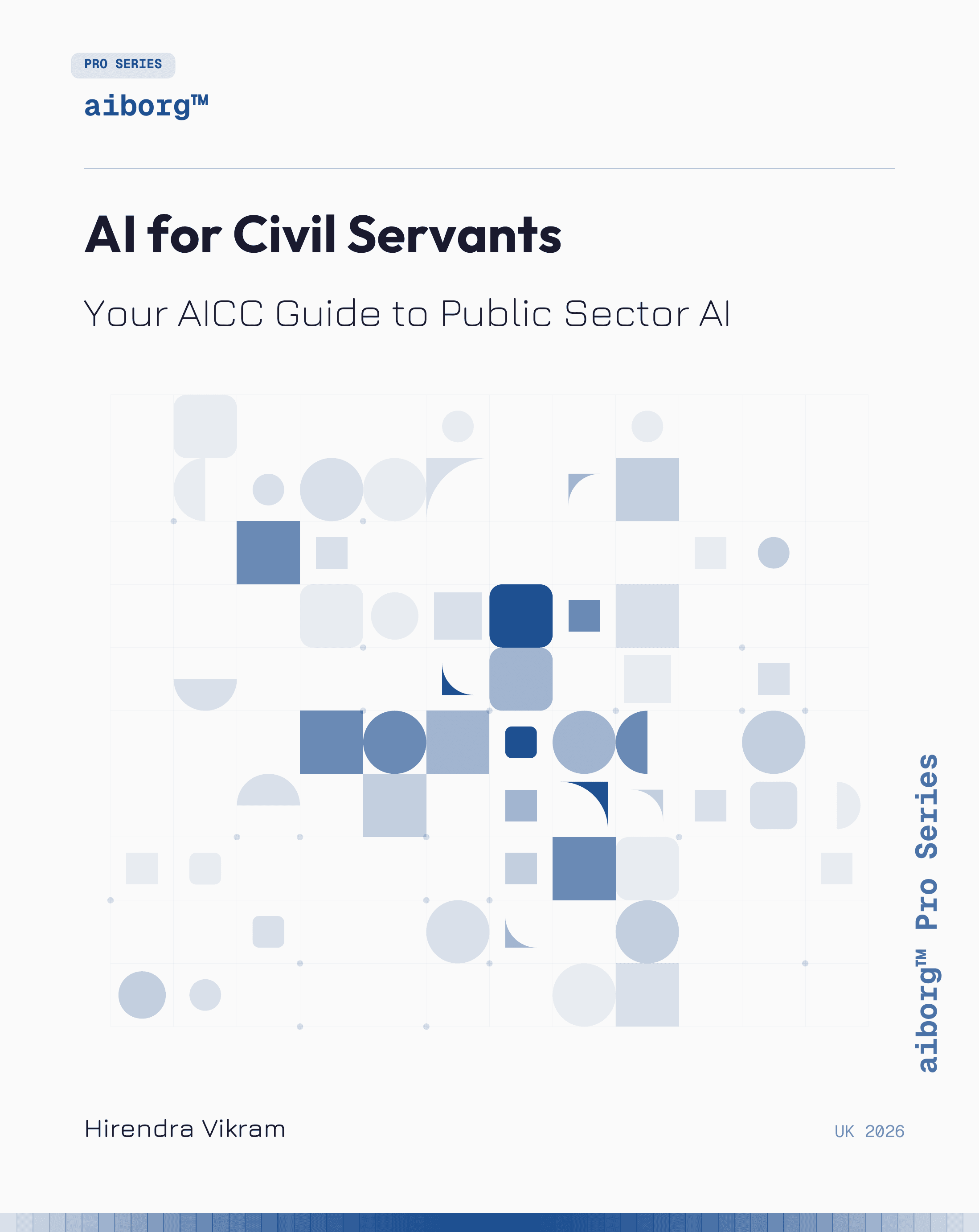 AI for Civil Servants